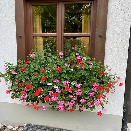 Grönenbach Hotel 3*